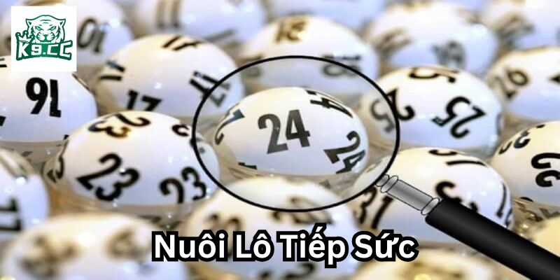 Nuôi Lô Tiếp Sức là gì?
